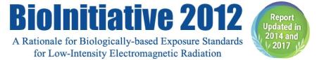 Bioinitiative Report Rapporto BioIniziativa bioinitiative.org