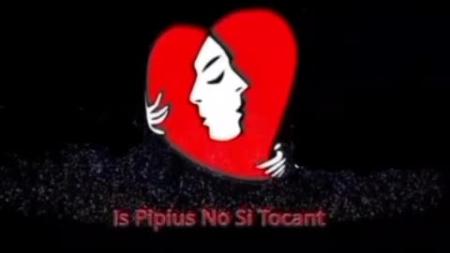 Is Pipius No Si Tocant ispipiusnositocant.it